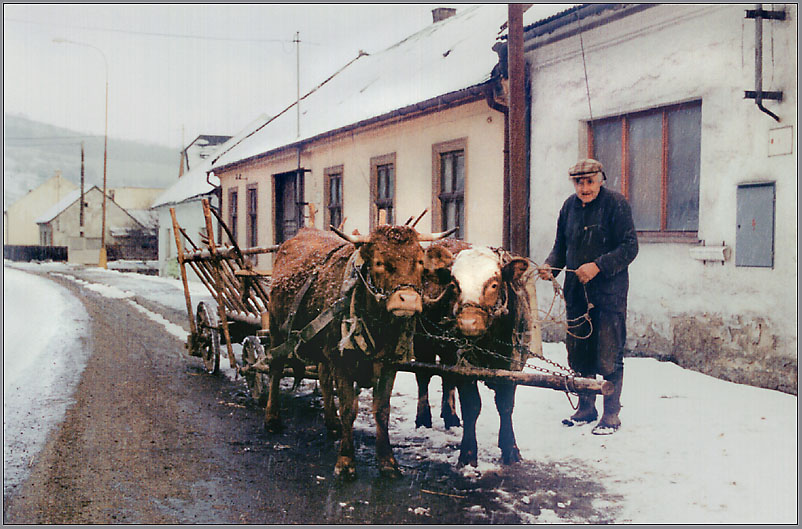 Mitteleuropa 2003