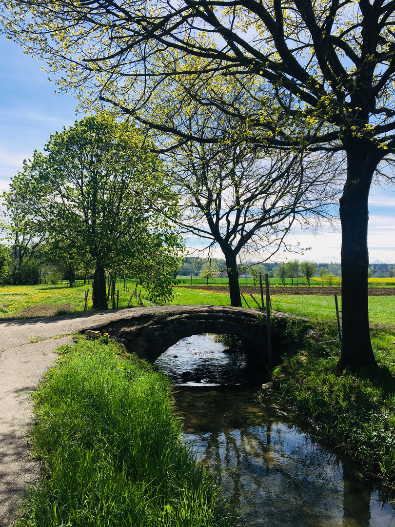 Mittelgäubach in der Nähe von Kestenholz SO (CH)