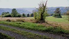 Mittelgebirgslandschaft bei Bad Ems