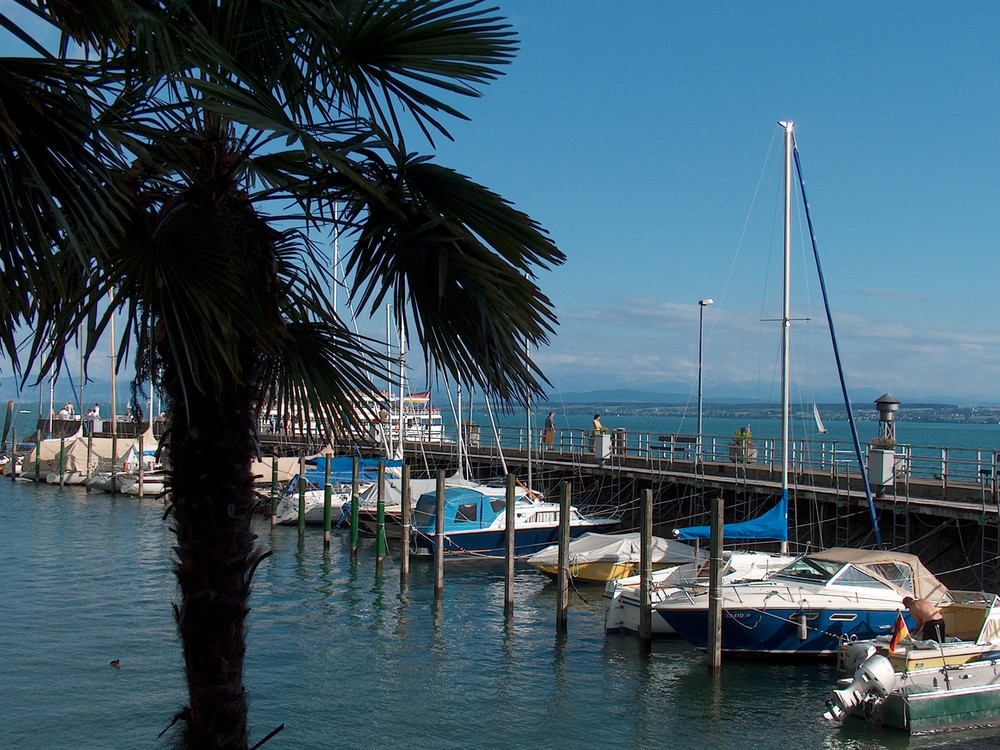 Mittelmeerfeeling am Bodensee