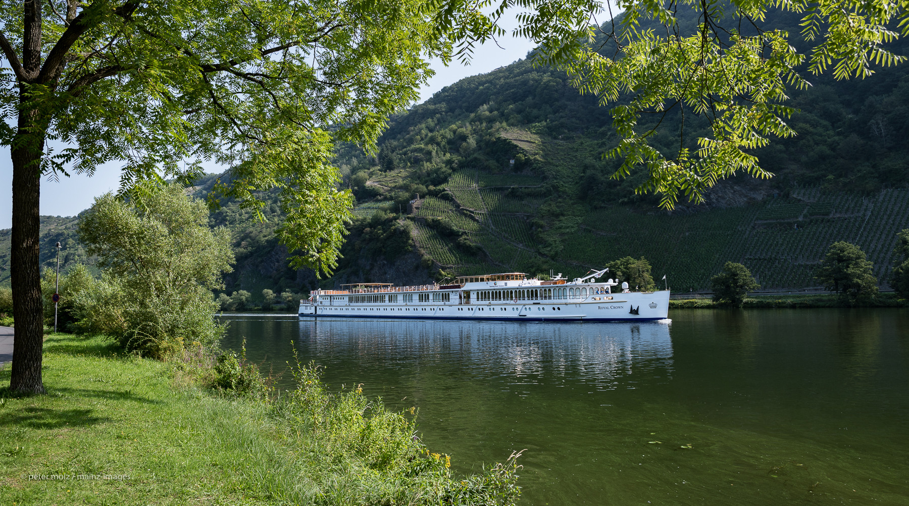 Mittelmosel - MS "Royal Crown" auf der Mosel bei Traben