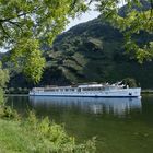 Mittelmosel - MS "Royal Crown" auf der Mosel bei Traben