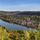 *Mittelmosel-Panorama*