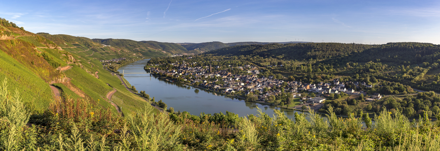 *Mittelmosel-Panorama*