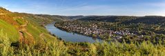 *Mittelmosel-Panorama*