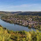 *Mittelmosel-Panorama - große Ansicht*