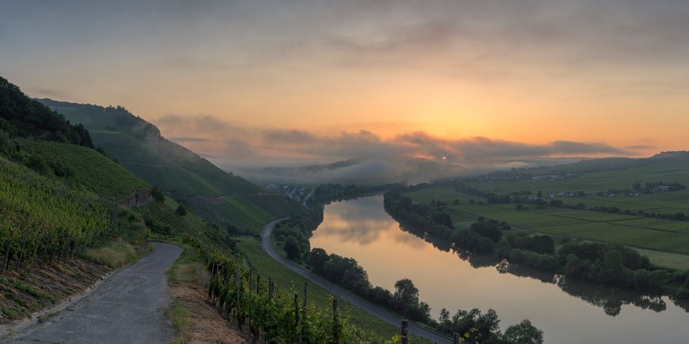 *Mittelmosel @ Sonnenaufgang*