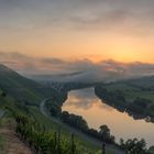 *Mittelmosel @ Sonnenaufgang*