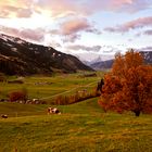 Mittelpinzgau am Morgen