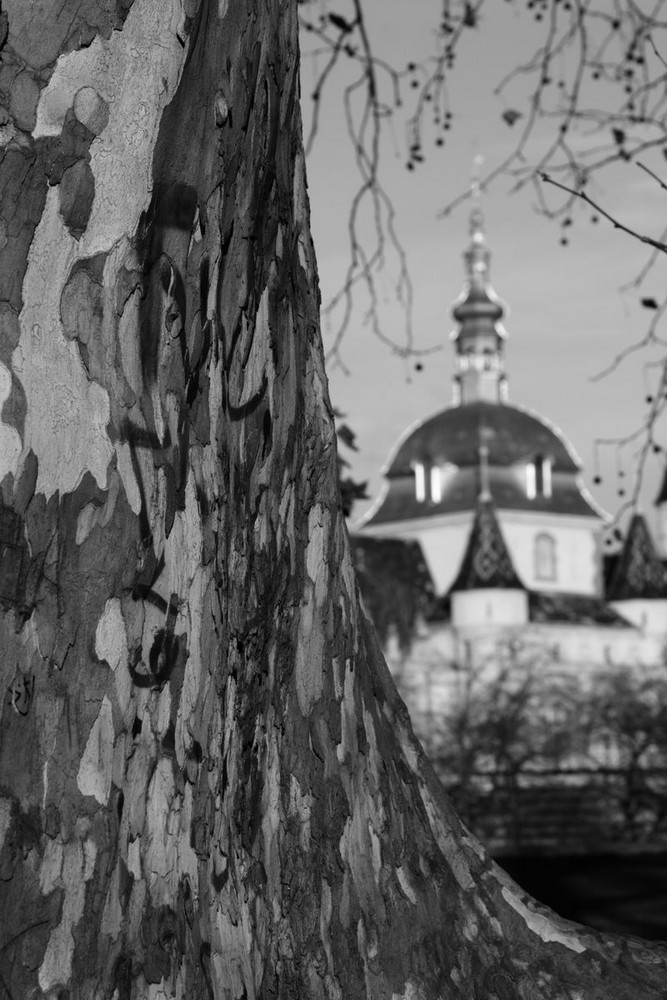 Mittelpunkt Baum