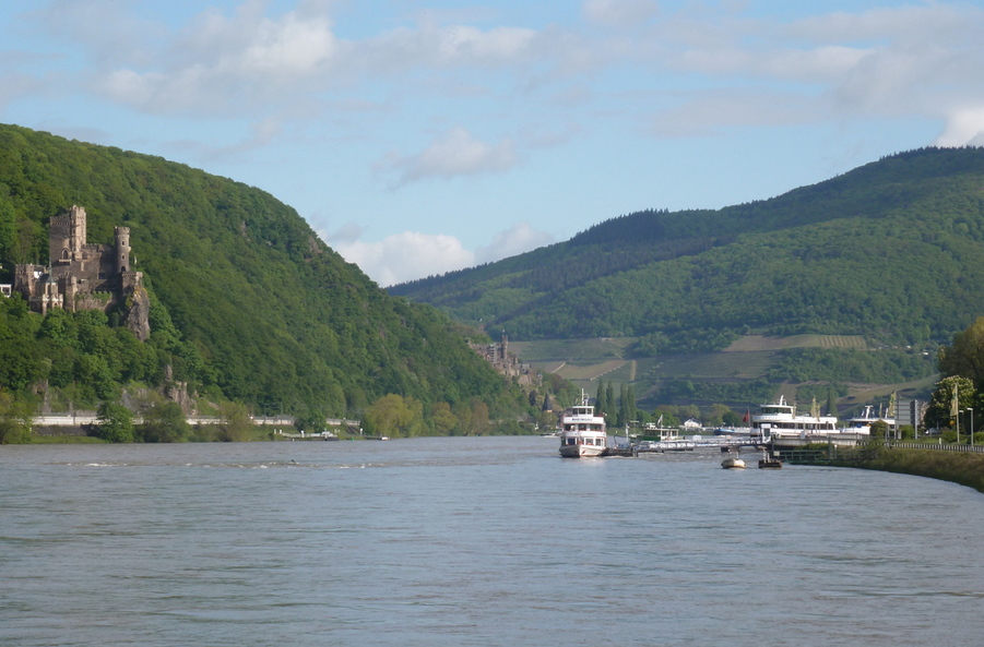 Mittelrhein 2015