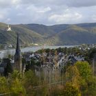 Mittelrhein ( Rhens ) im Herbst