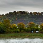 Mittelrhein, Stromkilometer 585