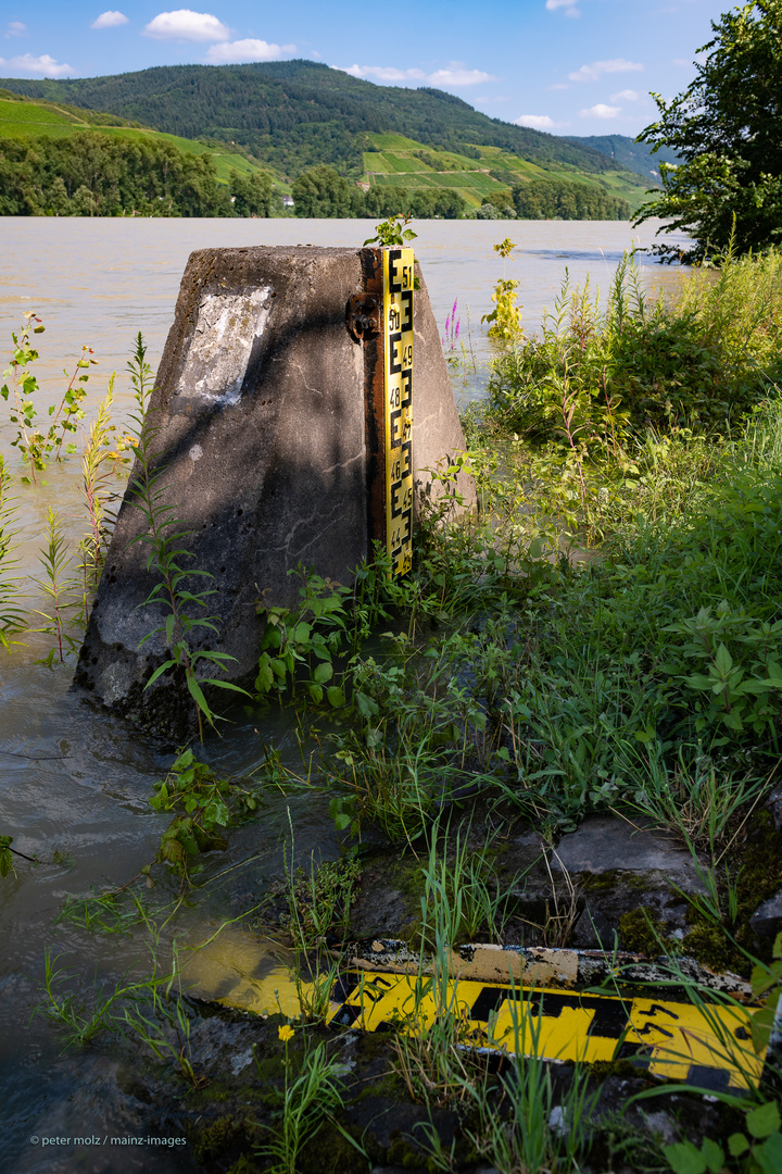 Mittelrheintal - Am Pegel in Niederheimbach (Hochwasser Juli 2021)