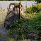 Mittelrheintal - Am Pegel in Niederheimbach (Hochwasser Juli 2021)