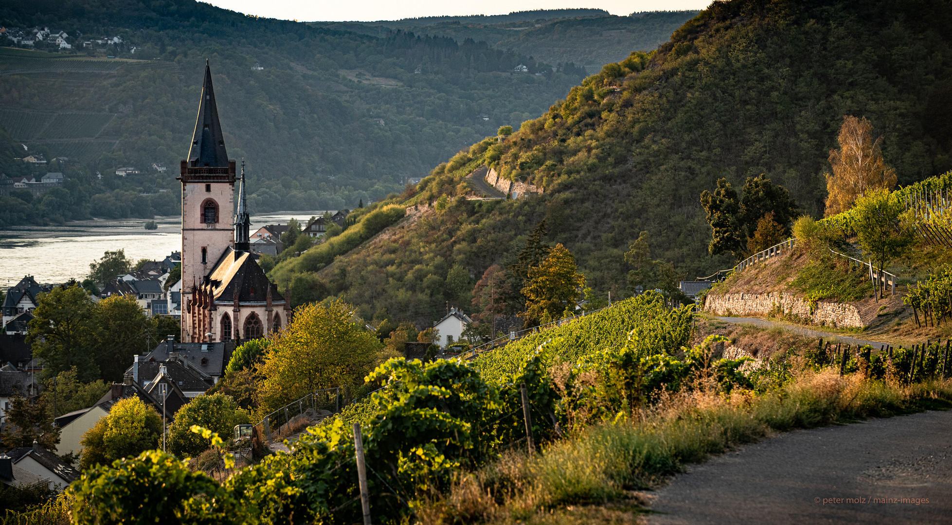 Mittelrheintal - Blick auf Lorch am Abend