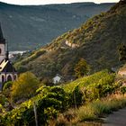 Mittelrheintal - Blick auf Lorch am Abend