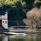 Mittelrheintal - Burg Pfalzgrafenstein bei Kaub im April (1)