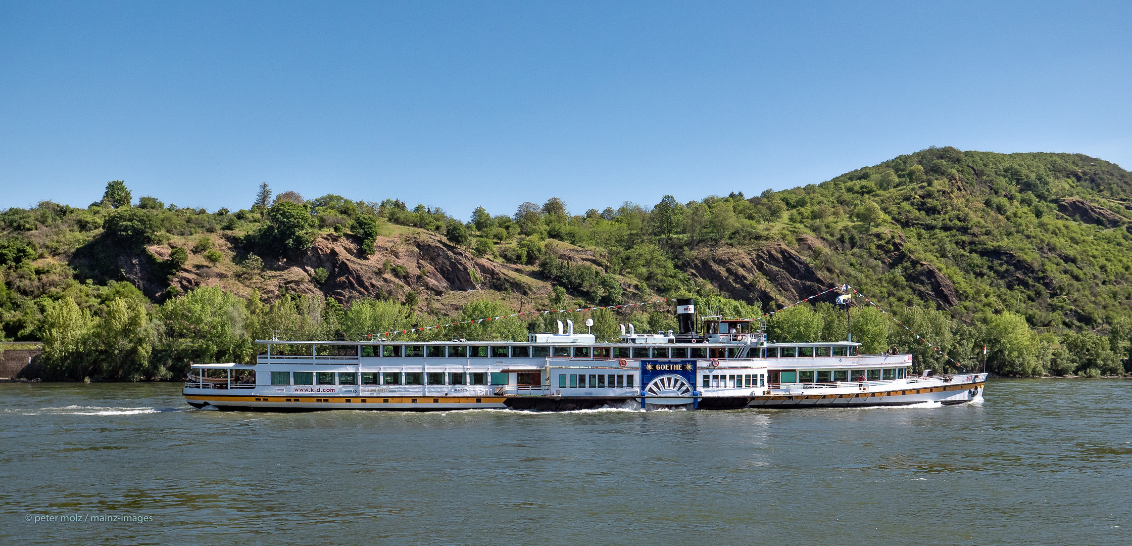 Mittelrheintal - Das Schaufelradschiff Goethe bei der Anfahrt auf Boppard | Juni 2021