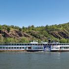 Mittelrheintal - Das Schaufelradschiff Goethe bei der Anfahrt auf Boppard | Juni 2021