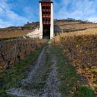 Mittelrheintal - Der Postenturm in Bacharach (2)