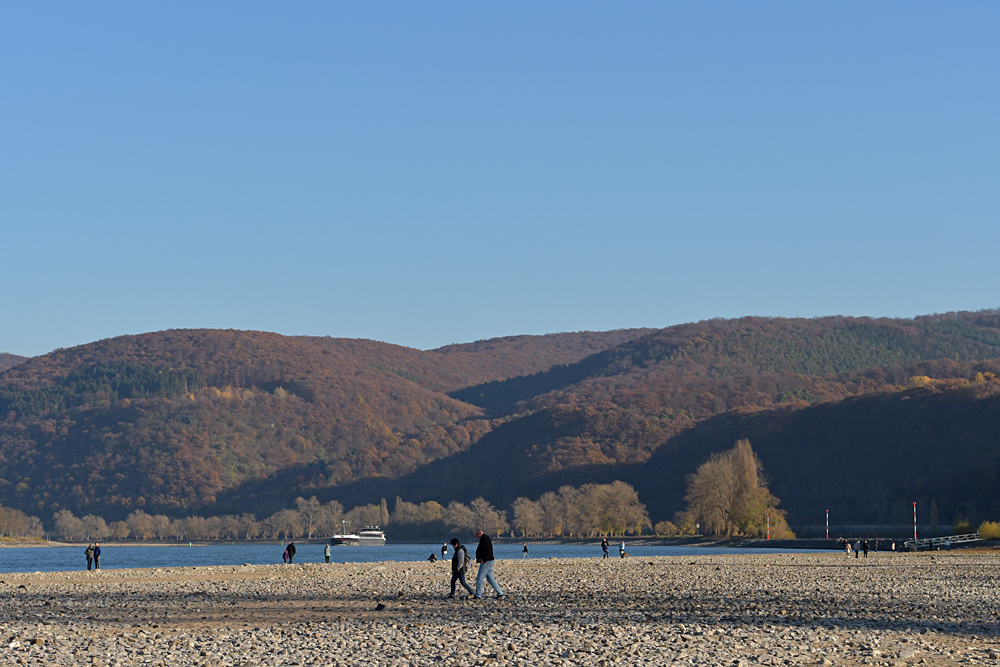 Mittelrheintal: Der Sommer 2018 und seine Spuren 21