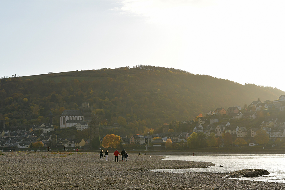 Mittelrheintal: Der Sommer 2018 und seine Spuren 23