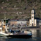 Mittelrheintal - Die Fähre Loreley VI auf ihrem Weg nach St. Goarshausen | März 2021