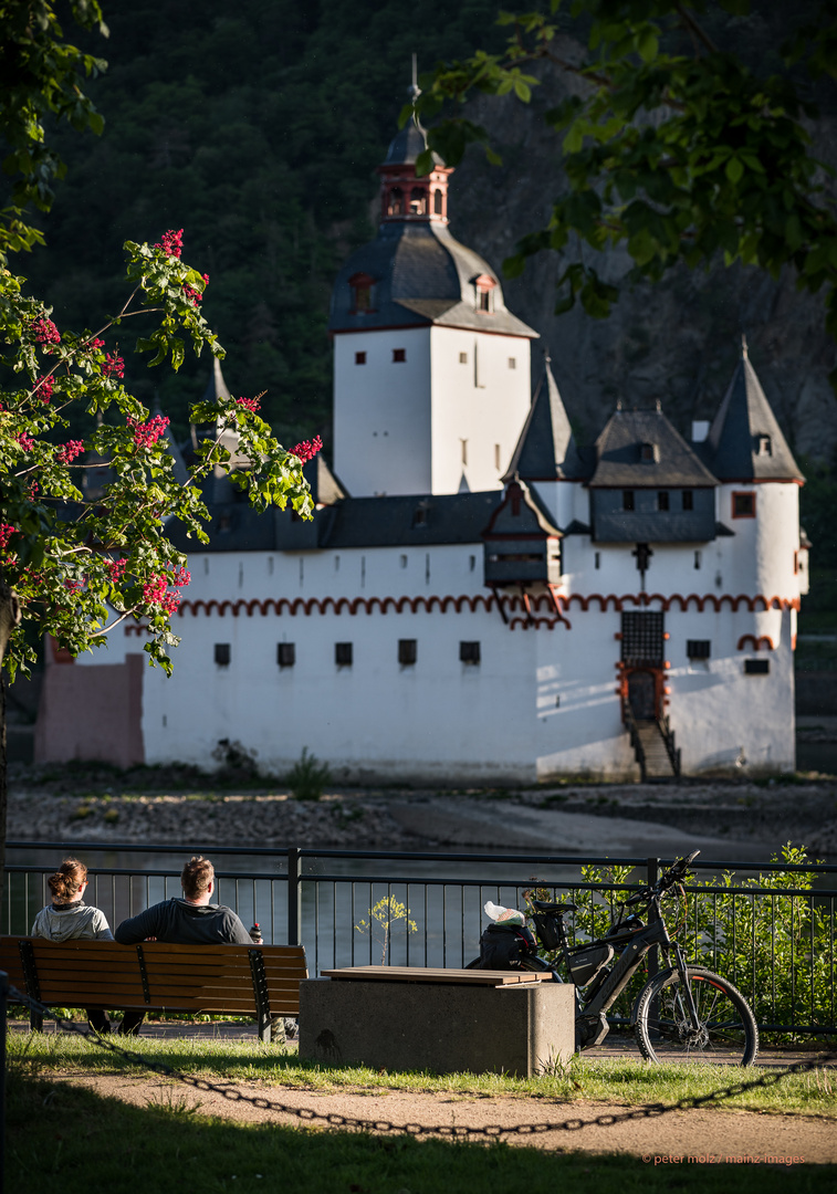 Mittelrheintal - Die Pfalz im Blick