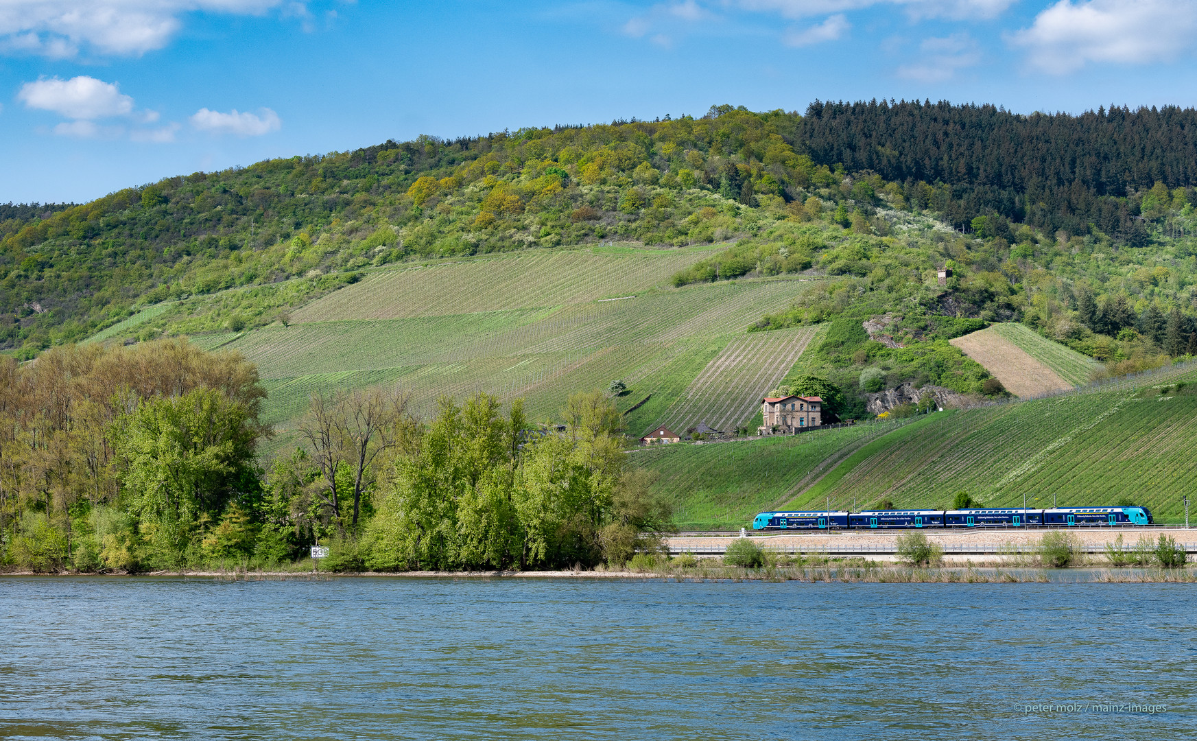 Mittelrheintal - Fahrt ins Blaue durchs Frühlingsgrün