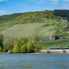Mittelrheintal - Fahrt ins Blaue durchs Frühlingsgrün