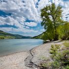 Mittelrheintal - Frühlingslandschaft Ende April