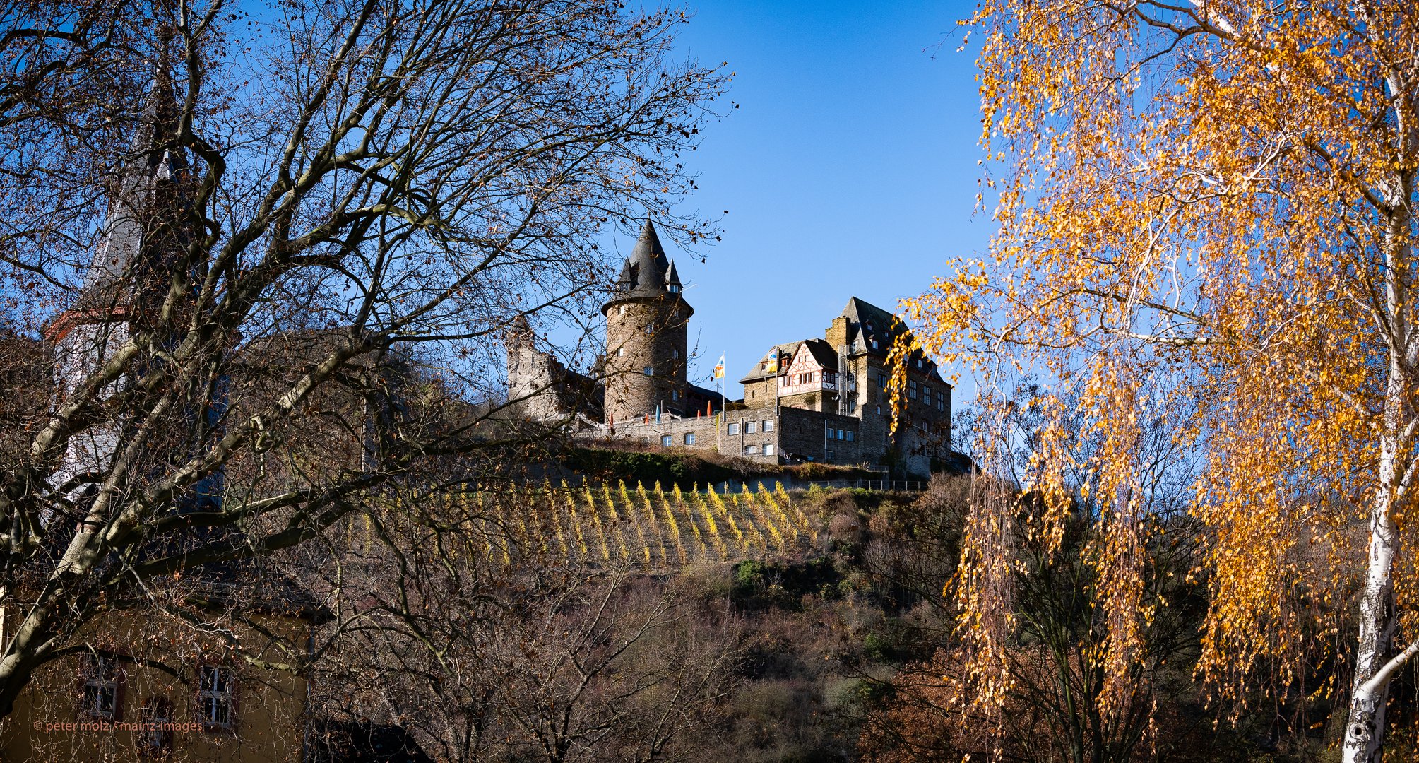 Mittelrheintal im Herbst - Burg Stahleck im November (2)