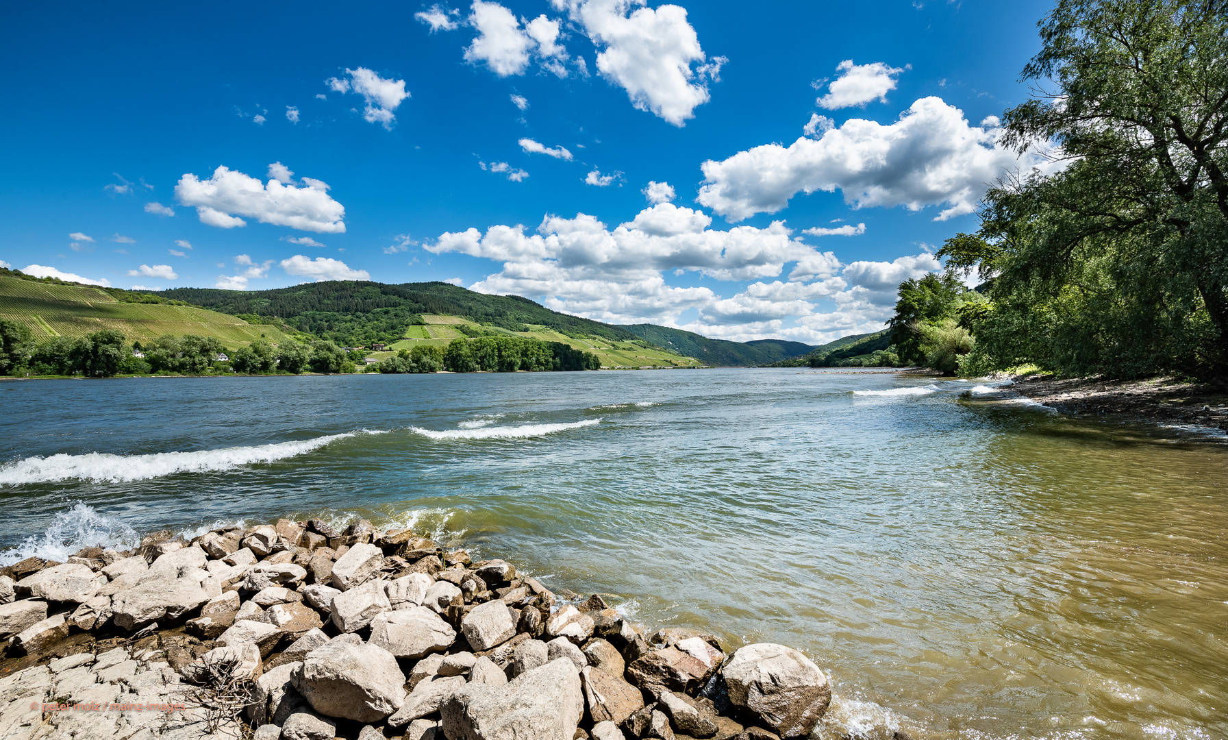 Mittelrheintal im Mai - Flußlandschaft mit Buhne + Welle