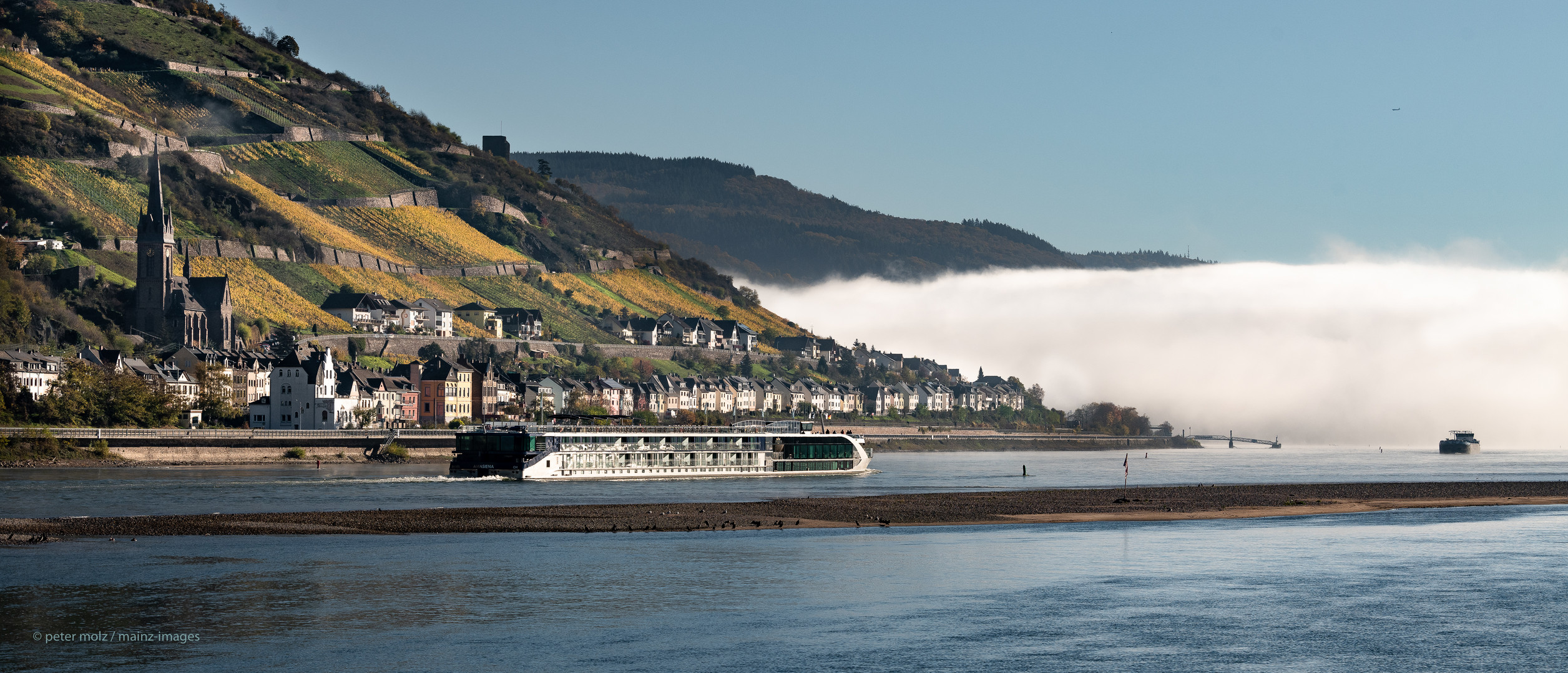 Mittelrheintal - Nebelbank und Flußkreuzfahrtschiff AmaSiena bei Lorchhausen