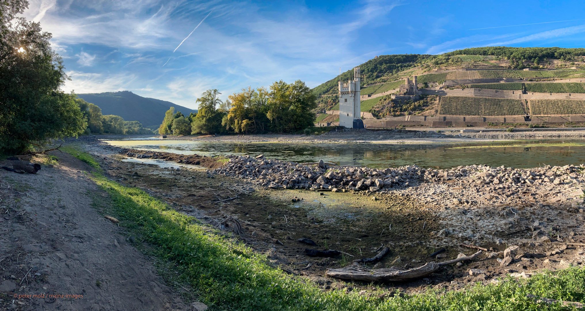 Mittelrheintal - Niedrigwasser am Mäuseturm bei Bingen (2)