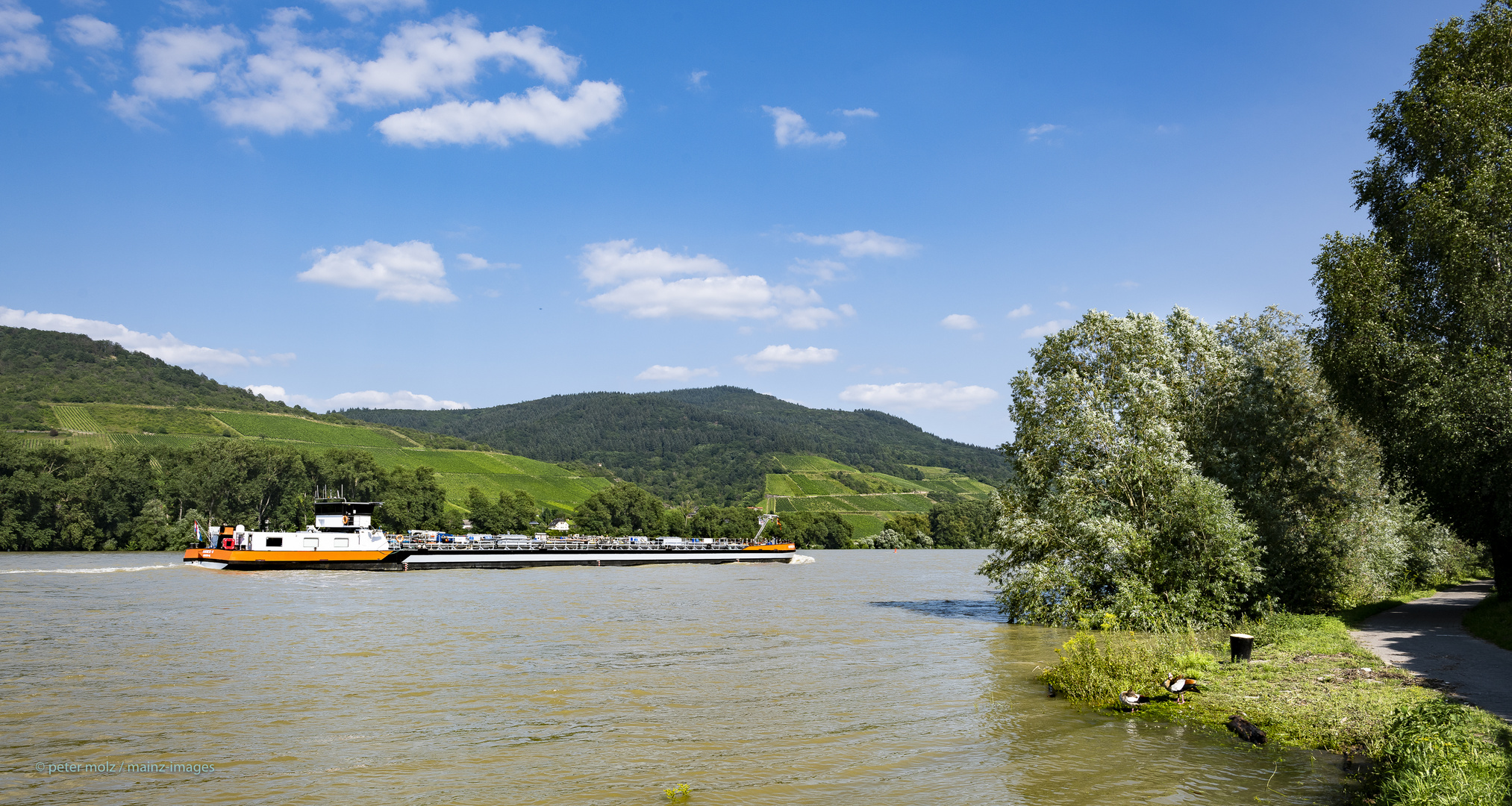 Mittelrheintal - Rheinhochwasser im Sommer