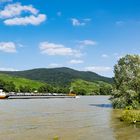 Mittelrheintal - Rheinhochwasser im Sommer