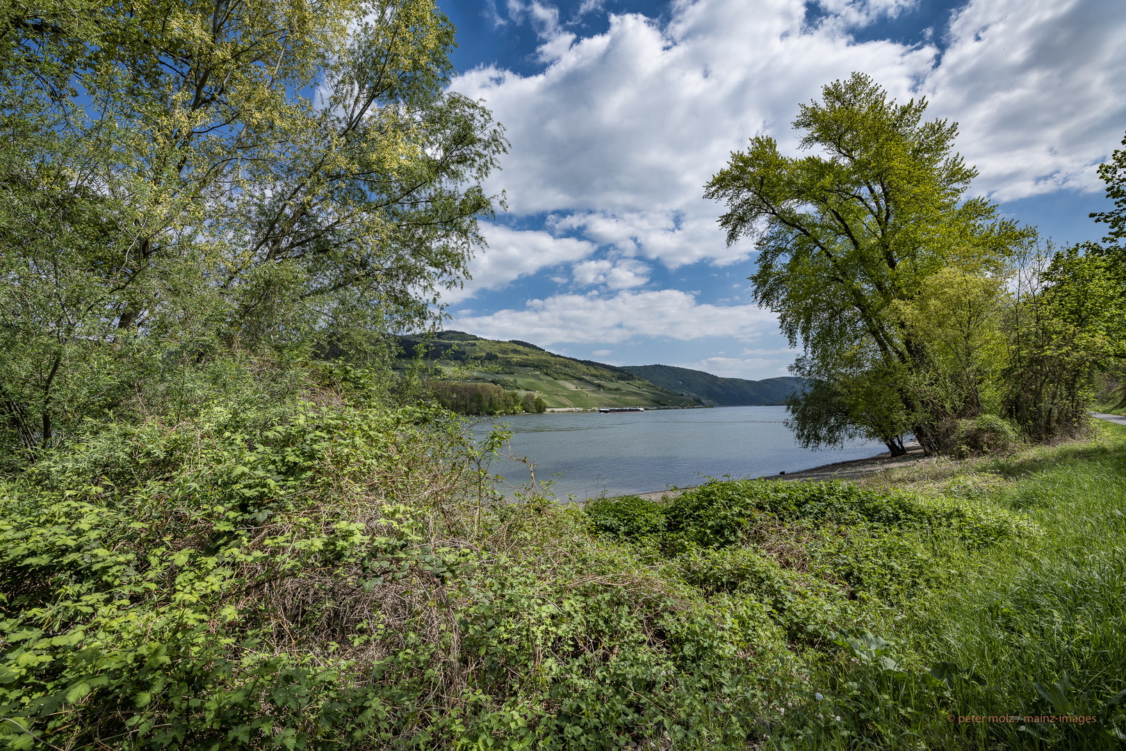 Mittelrheintal - Schönstes Frühlingswetter am linksrheinischen Rheinuferweg