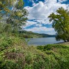 Mittelrheintal - Schönstes Frühlingswetter am linksrheinischen Rheinuferweg