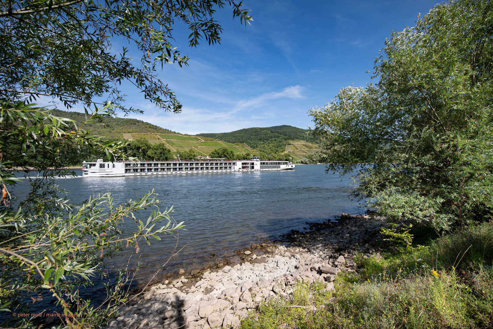 Mittelrheintal - Sommerlandschaft mit Flußkreuzfahrtschiff 