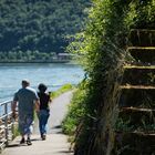 Mittelrheintal - Unterwegs auf dem Rheinuferweg bei Sankt Goar