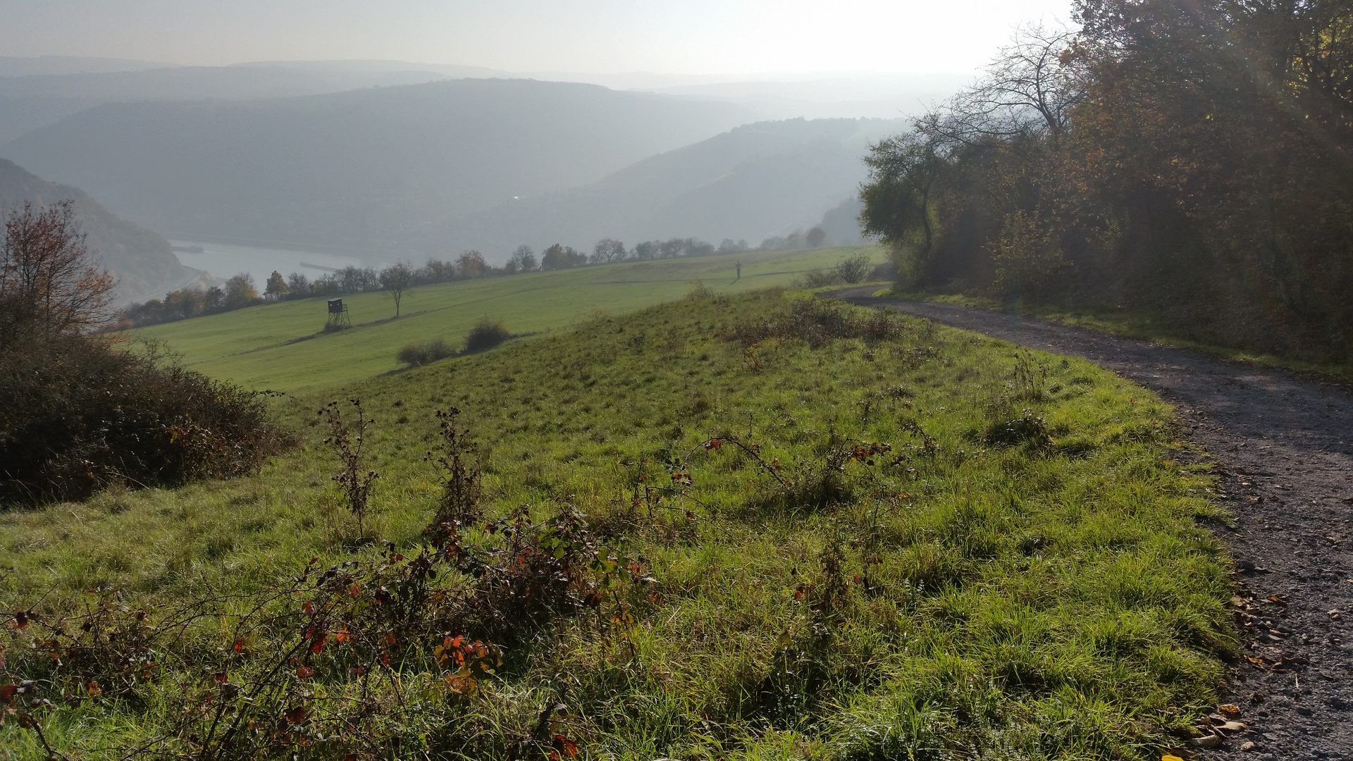 Mittelrheintal/Ölsbergsteig