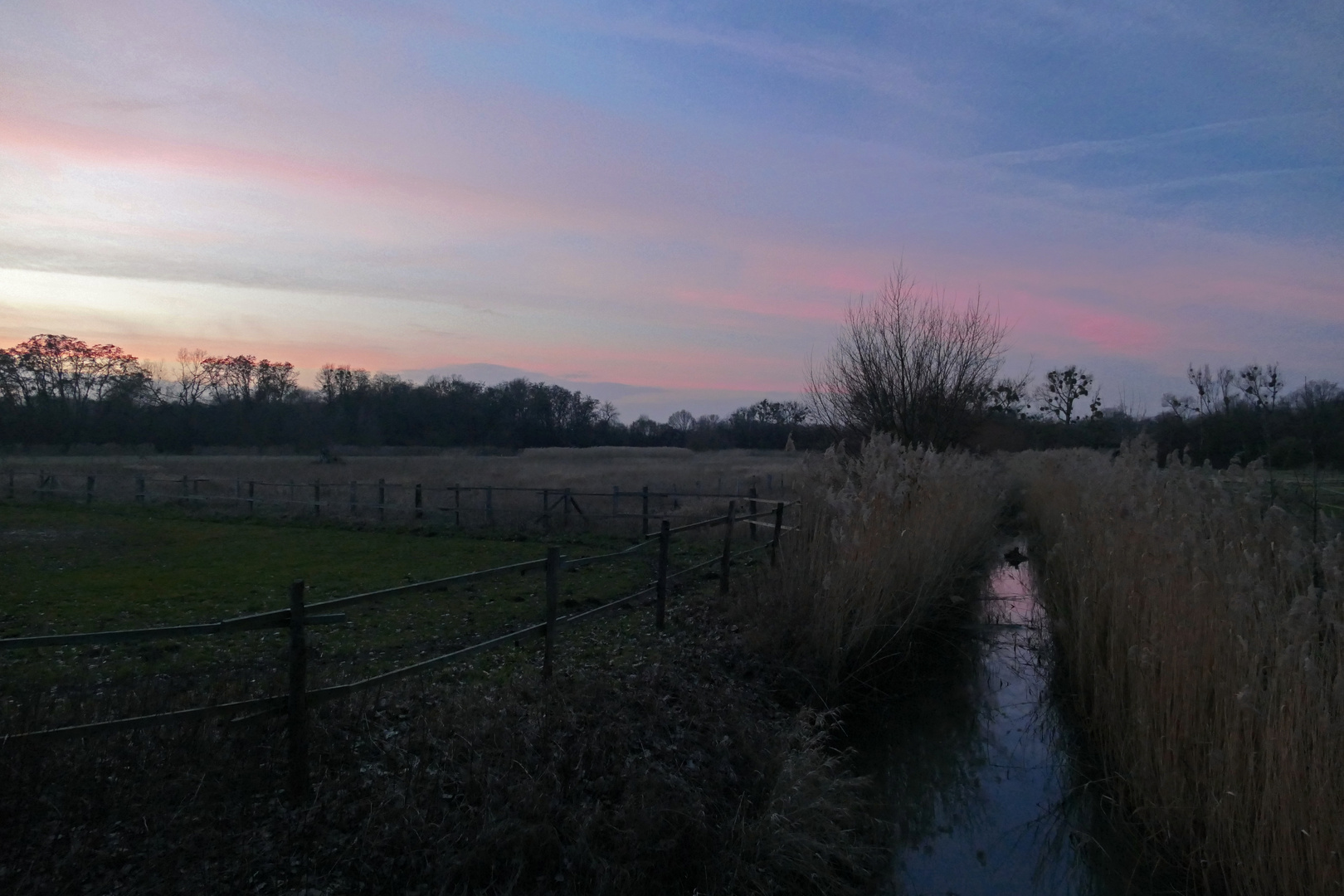 Mittelriede im Abendlicht