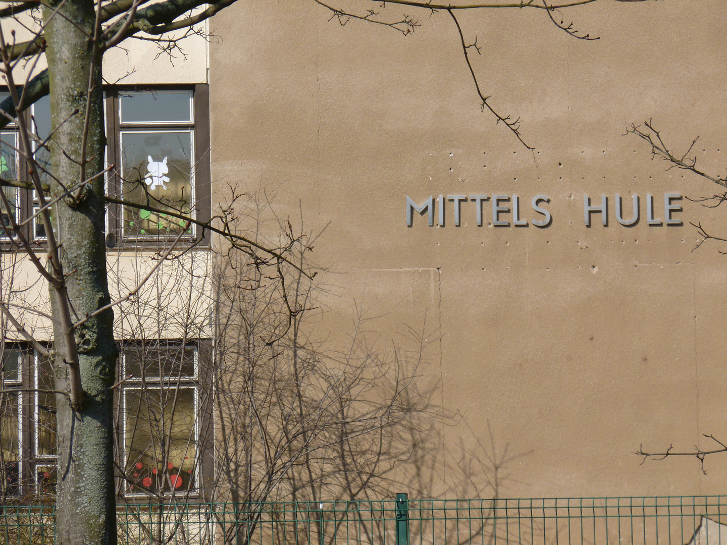 Mittels hule, Dresden, Germany