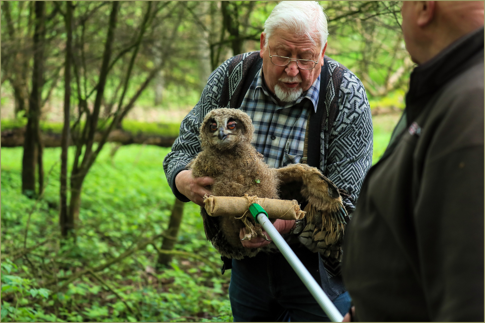 mittels Stange soll der Kleine nun im Wald auf einem höher gelegenen Ast abgesetzt werden...  *3*