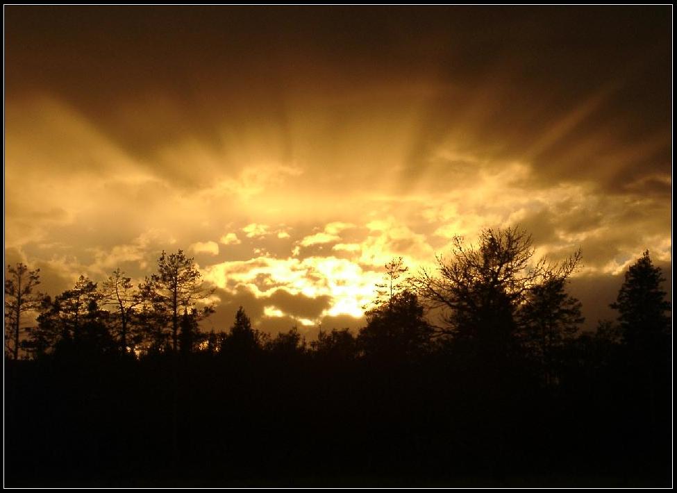 Mittelschweden (durch Sonnenbrille fotografiert)