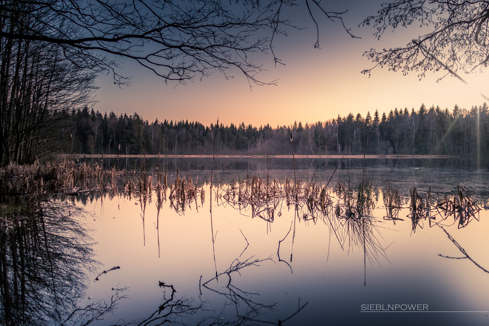 Mittelteich Freiberg #1