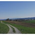 Mittelthurgau im Frühling