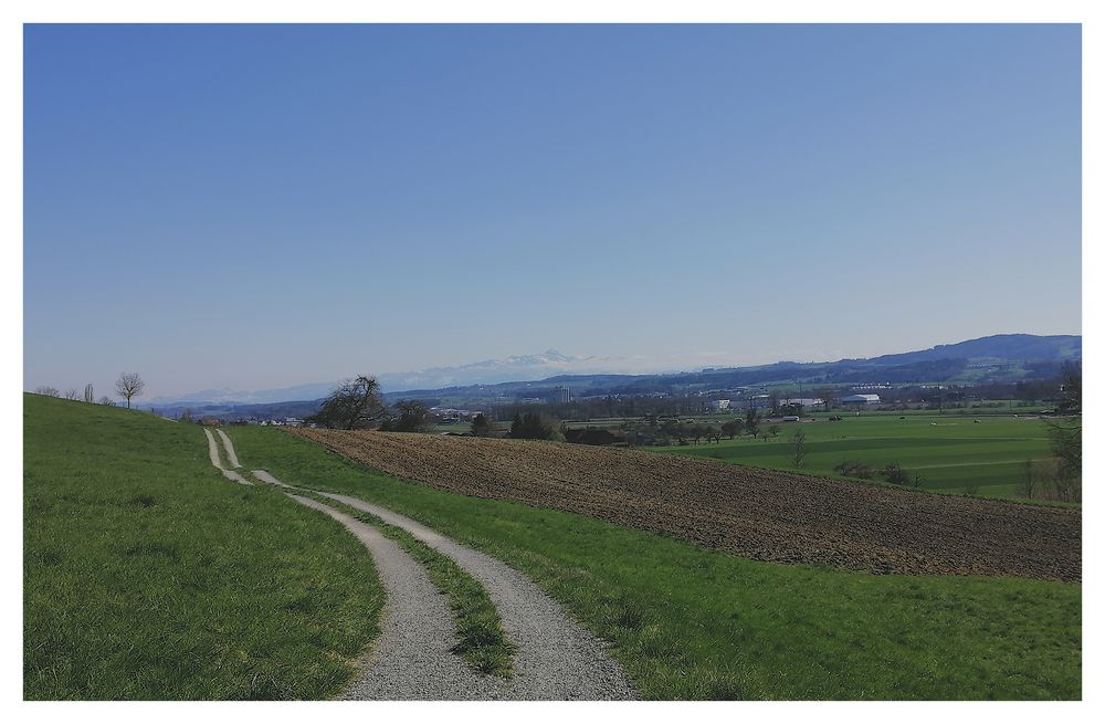 Mittelthurgau im Frühling